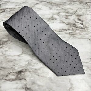 Bijoux Terner Men’s Gray Genuine Silk Tie, Blue Polka Dot Design